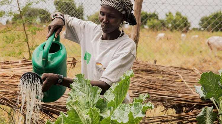 Eine Frau kümmert sich im Rahmen eines Ernaehrungssicherungs-Projekt in Ganyiel (Süd Sudan) um einen Garten. 