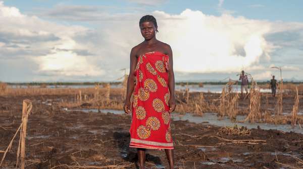 Eine Frau steht auf einem zerstörten Maisfeld.