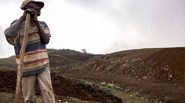 Abholzung in Haiti: Ein Bauer steht auf einem kargen Feld