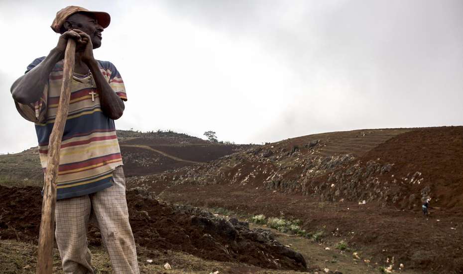 Abholzung in Haiti: Ein Bauer steht auf einem kargen Feld