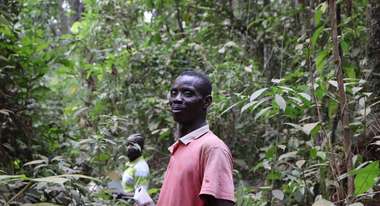 Land-Plantage Liberia