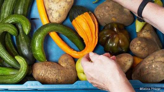 Hände greifen nach krummen Gurken und Kartoffeln in einer Gemüsekiste.