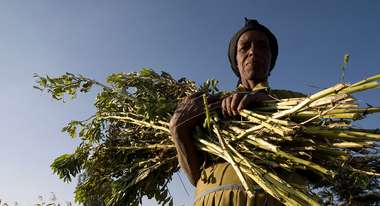 Kleinbäuerin in Äthiopien mit Ernte