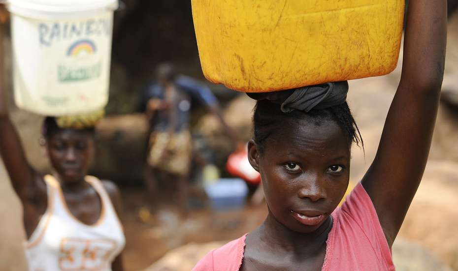 Frauen tragen mit Wasser gefüllte Kanister aus den bewaldeten Bergen in Kamayama, Sierra Leone.