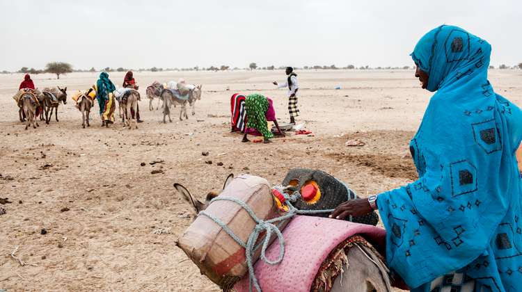 Eine Frau in Somaliland ist mit einem Esel unterwegs, um Wasser zu holen.