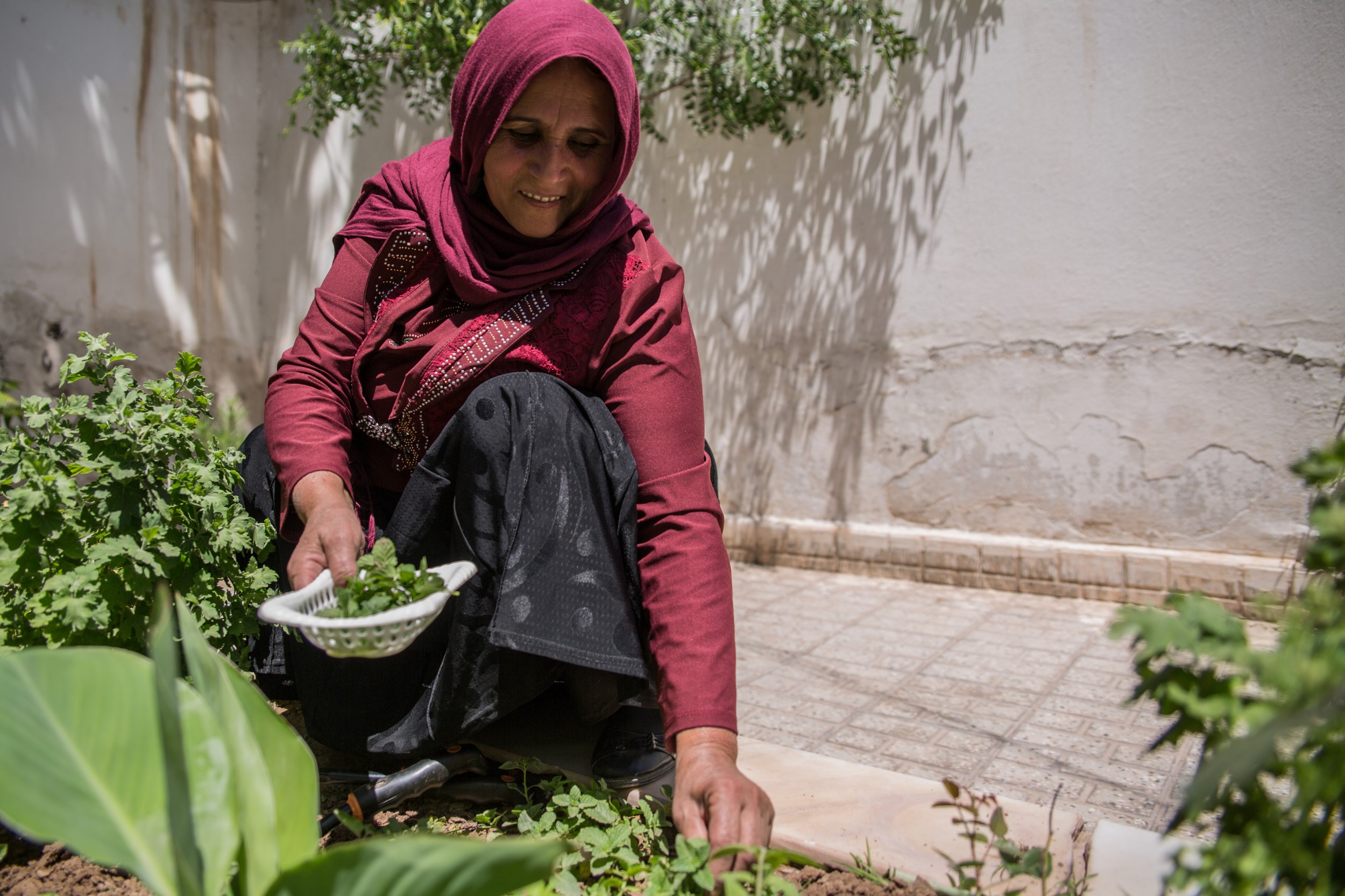 Afghanistan: Gastbeitrag Gemüse, Projektteilnehmerin Zia Gul, 2020.